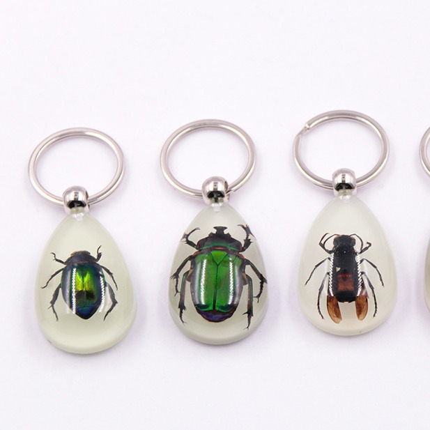 True insect specimen large Amber luminous insect keychain pendant jewelry scenic spot hot selling factory wholesale