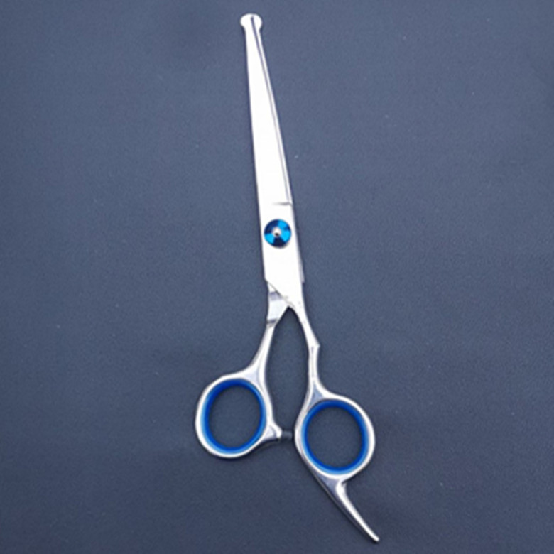 Pet Beauty Round Head Scissors Teddy Dog Hair Scissors Professional Pet Curved Hair Hairdressing Tools suit