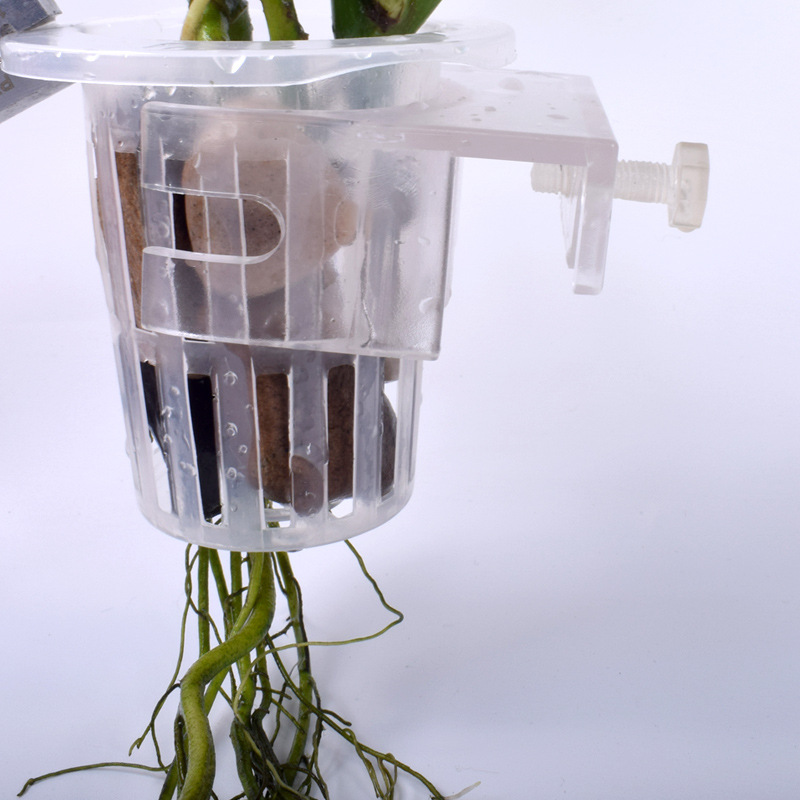 Water Grass Planting Cup Yamazaki Gui Planting Wall Hanging Cup Water Grass Planting Hanger Adjustable Water Grass Cup