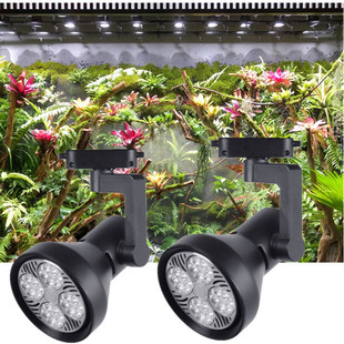 led rainforest tank landscaping lamp track spotlight amphibious plants growth lamp full spectrum Moss fill light