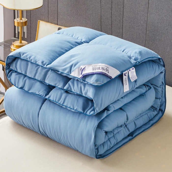Hotel quilt feather velvet quilt autumn and winter quilt thickened warm feather silk quilt core group purchase gift wholesale generation