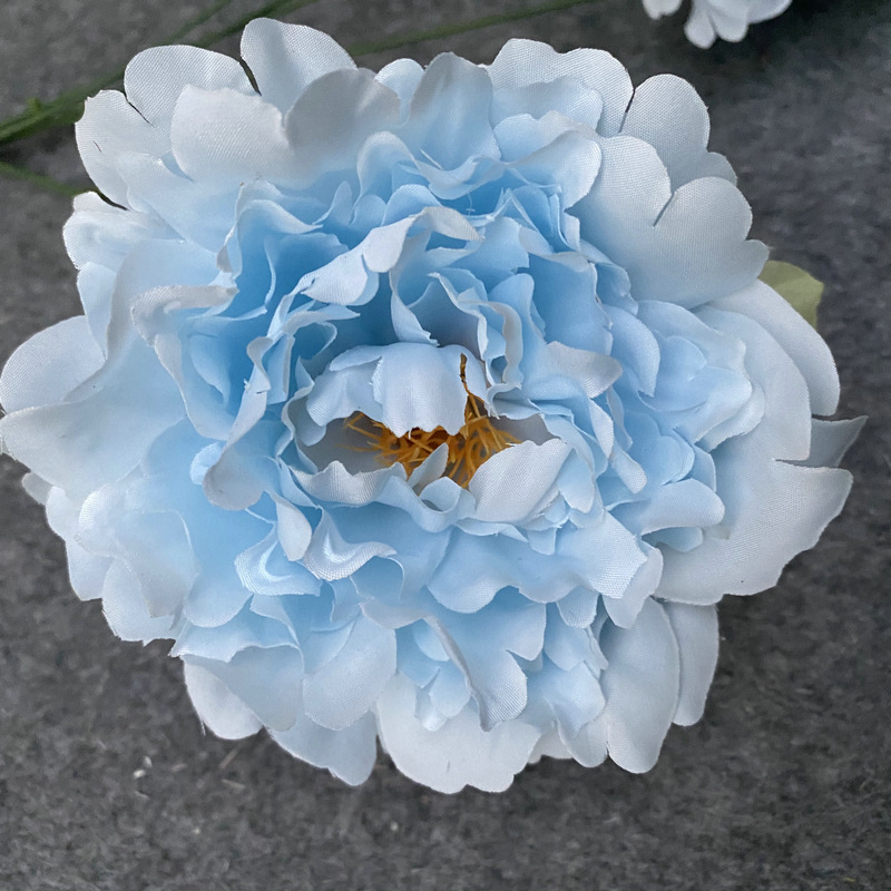 Spring flower head Blue