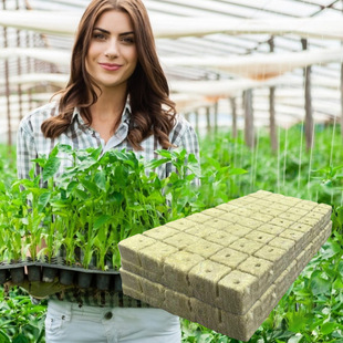 Soilless culture substrate plant propagation seedling block hydroponic seedling block plant rock wool substrate 25*25*40mm