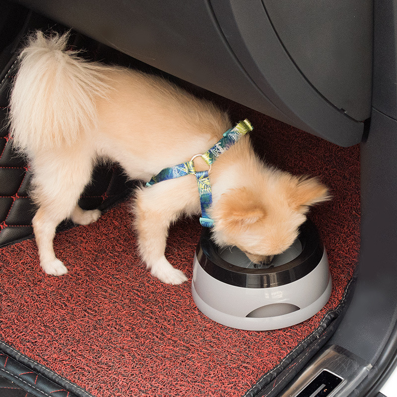 犬用フード用品 - 耐久性のあるステンレス鋼の犬用ボウル、食品水用、滑り止めゴムベース、お手入れが簡単|undefined