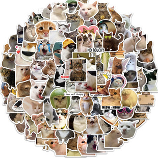 100 pieces cross-border cat MEME graffiti stickers decorative guitar notebook luggage DIY waterproof cross-border wholesale