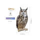 other product image