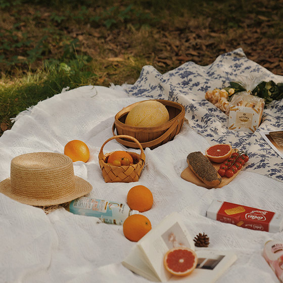 Picnic mat outdoor camping French white picnic cloth props Internet celebrity supplies full set tablecloth moisture-proof beach mat