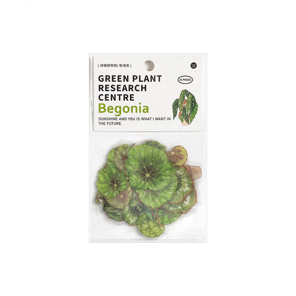 infeelmePET stickers package Green Plant Research Institute series plant hand account DIY material decorative stickers 30 pieces
