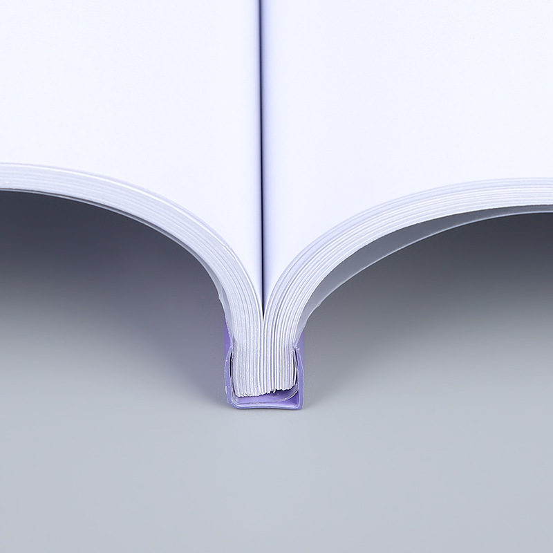 Factory wholesale thickened a4 trolley clip black transparent plastic trolley folder office student examination paper storage clip
