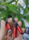 Red double flat mouth 10W