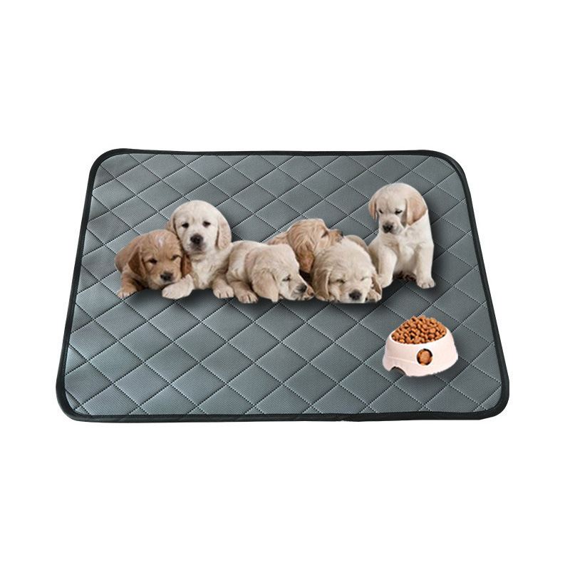 Amazon Supermarket Washable Pet Urine Pad Instant Absorbent Dog Training Pad Absorbent Pad Waterproof Training Pad