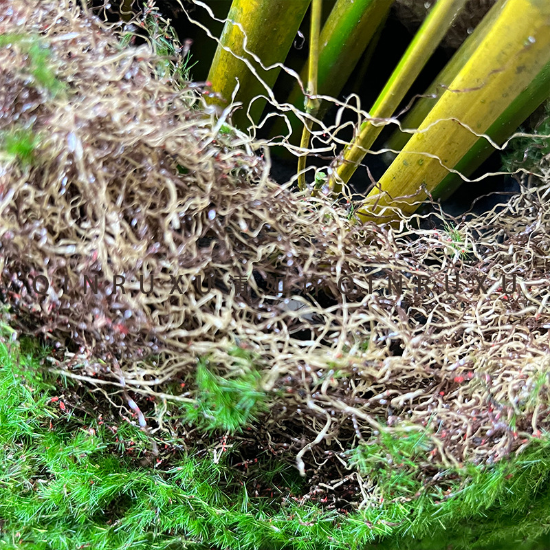 厂家仿真苔藓绿色假青苔背景装饰植物墙草坪微景观人造苔藓草皮