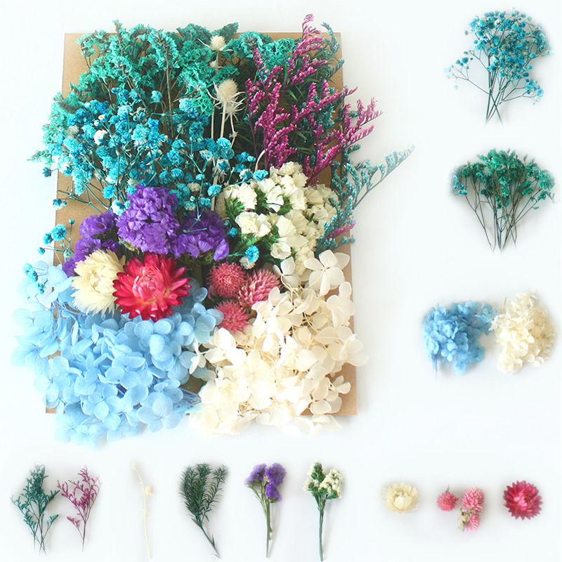 A5 bag dried flower eternal flower material package wholesale Amazon cross-border embossed dried flower DIY handmade floral gift
