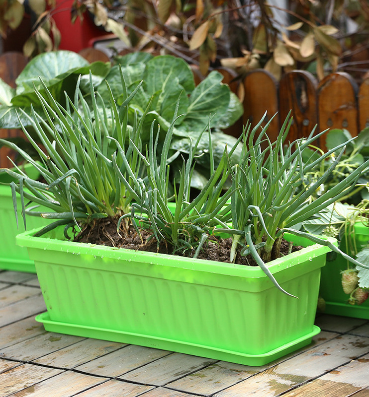 バルコニー野菜植栽ポット長方形プラスチックロングストリップ植木鉢トラフ植栽家庭用野菜園芸ツール|undefined