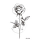 other product image