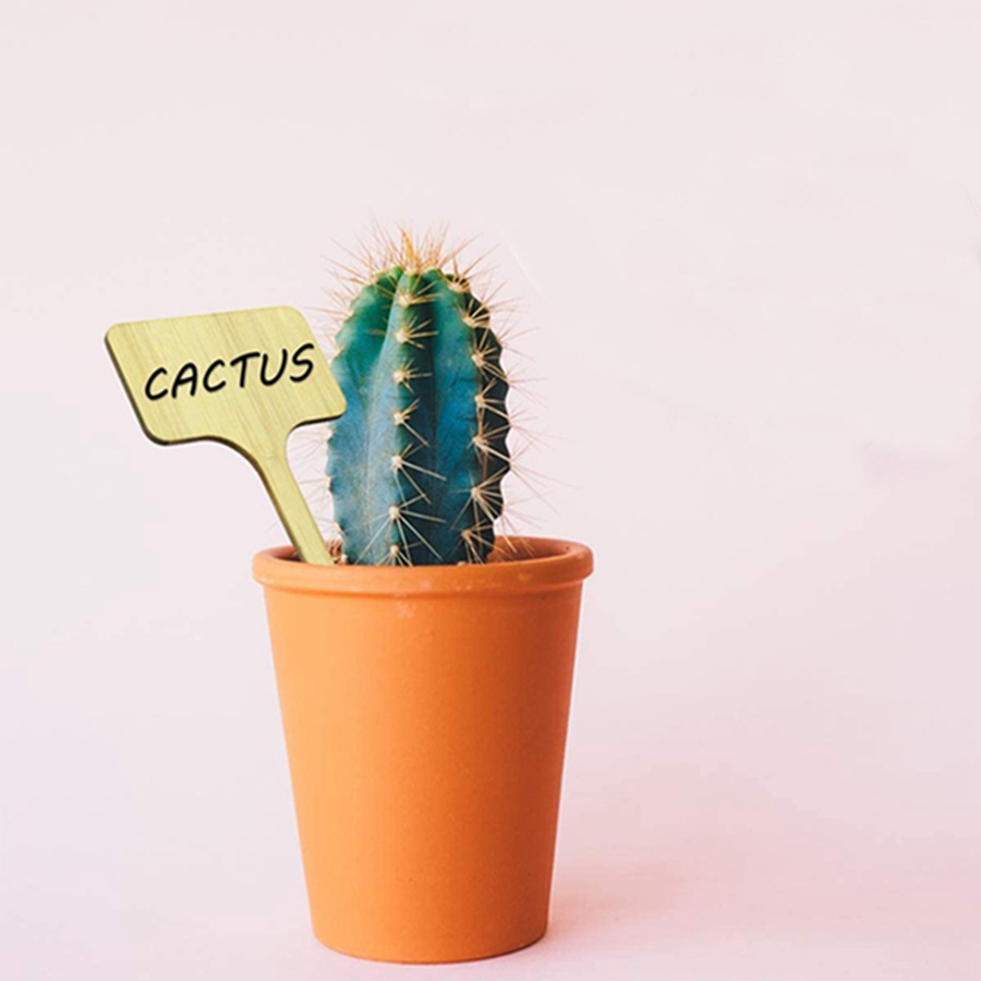 Cross-border woody succulents label card creative gardening flowers label card (no pen)