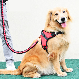 Amazon pet supplies dog leash dog rope chest strap golden retriever medium and large dog pet supplies wholesale