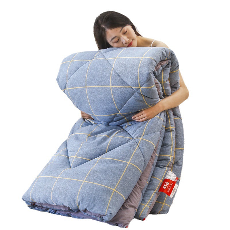 Winter Quilt Thickened Warm Quilt Core Quilt Spring and Autumn Quilt Student Dormitory Single Air-conditioning Quilt Winter Four Seasons Universal
