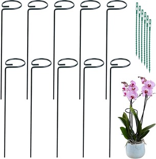 Cross-border Special for Plant Bracket Support Rod Rose Flower Rack Climbing Rack Potted Plant Fixing Rack Iron Amazon