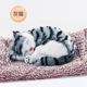 other product image