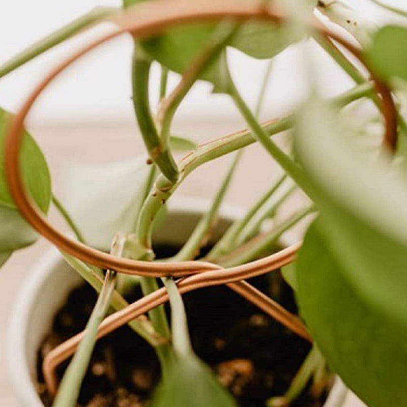 Cross-border Climbing Support for Garden Plants Creative Flower Pot Support Geometric Metal Iron Fixing Rod