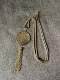 18. Gold-plated snake bone chain disc tassel