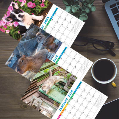 2025 Dog English Calendar Animal Style Calendar FSC Paper Suitable for Cross-border E-commerce in European Market