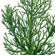 Simulation plant pine needle cross-border Christmas tree Christmas ring decoration green plant accessories artificial plastic pine needle branch