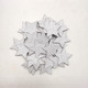 Silver five-pointed star