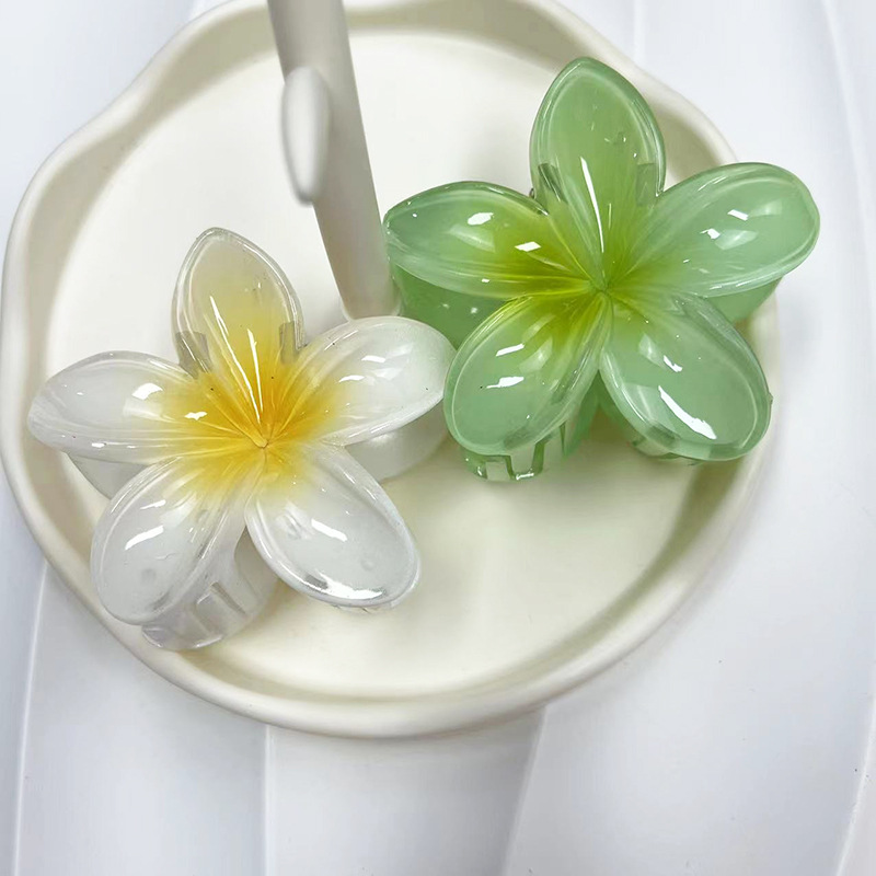 Cross-border egg flower gripper gradient candy color Flower Fashion holiday hot sale back head updo shark clip hair accessories_voghion.com