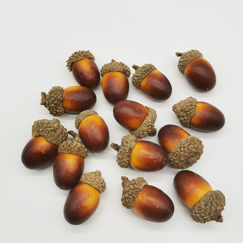 Dried flower material natural Acorn Acorn kindergarten DIY handmade material accessories shooting props simulation nuts