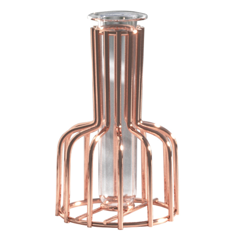 Nordic Style Wrought Iron Glass Flower-arranging Plating Ornaments Hydroponic Glass Vase Home Dining Table Desktop Living Room Decoration Ornaments