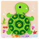 XJY turtle A