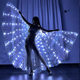 ELF LED luminous butterfly wings back decoration children adult gold wings fluorescent cloak stage performance props clothing female