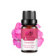 Single: Pelargonium Geranium 10ml