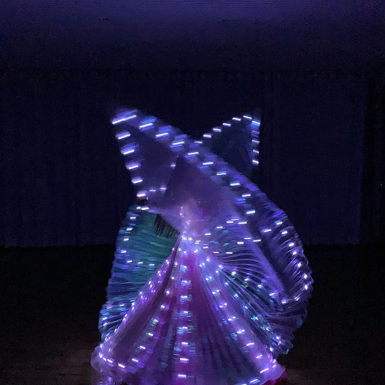 Factory Direct New White led luminous wings dance props Golden Wings transparent wholesale Oriental dance Egypt