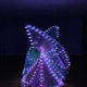 Factory Direct New White led luminous wings dance props Golden Wings transparent wholesale Oriental dance Egypt