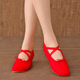 Dance Shoes with Heels Ballet Shoes Practice Shoes Soft Sole Shoes Teacher Shoes Hair Sole