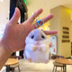 Plush gray hamster