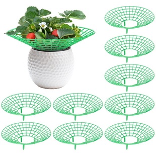 Cross-border New Strawberry Stand Strawberry Planting Rack Sun Flower Stand Potted Strawberry Artifact Anti-corrosion Rotten Fruit Support