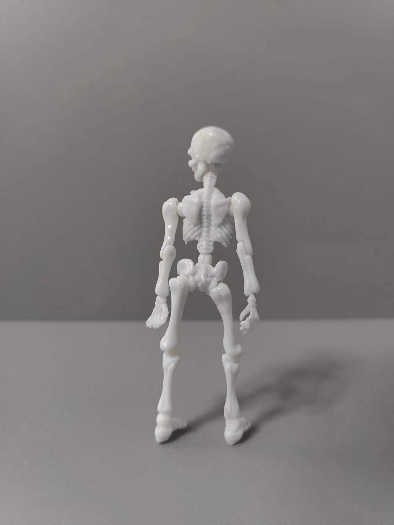 [В наличии] Японский Скелет Gashapon Skeleton Деятельность Череп Люди Развивающие игрушки Совместные инструменты для обучения человеческого тела