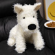 other product image