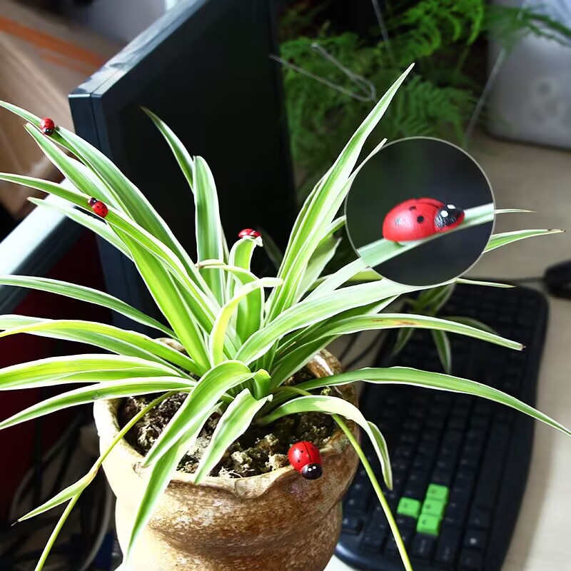 Multi-size mini ladybug micro landscape mini ladybug pastoral wooden small beetle back with double-sided adhesive tape