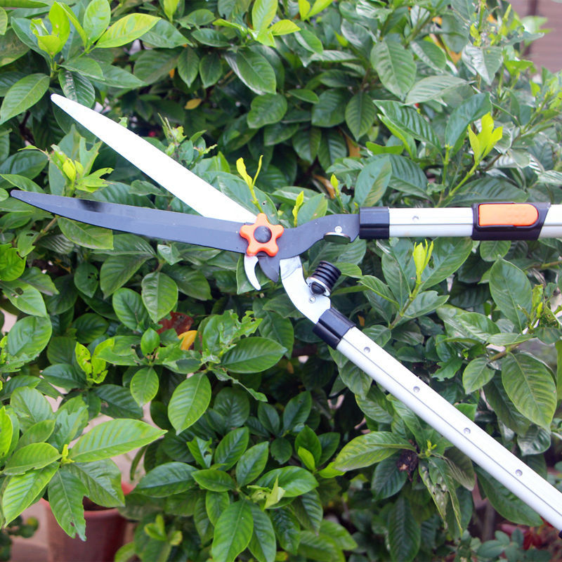 Gardening Flower Shears Greening Big Scissors Garden Flower Pruning Shears Cutting Flowers and Trees Grass Lawn Hedge Shears Strong Scissors