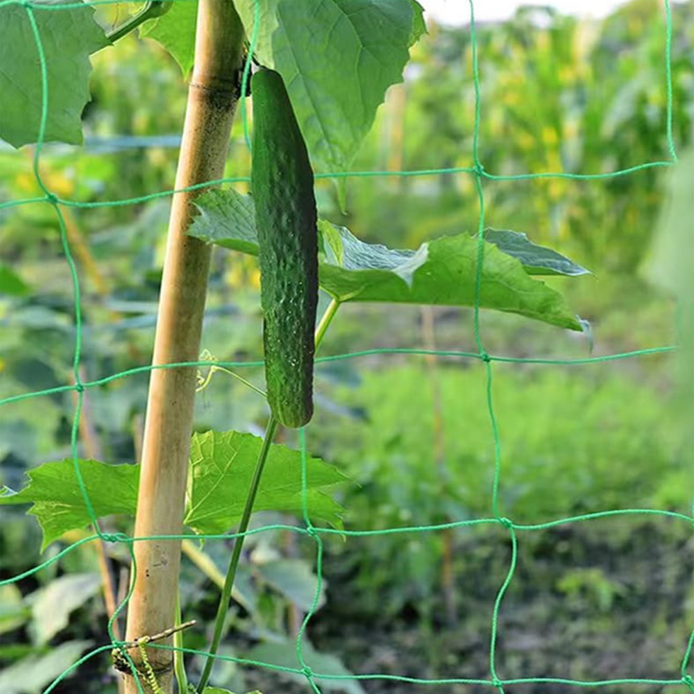 9-strand plant climbing vine net green gardening Grid Net cucumber hanging melon climbing net vine loofah climbing vine net