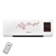 Cold and warm dual-use (touch remote control) domestic pattern
