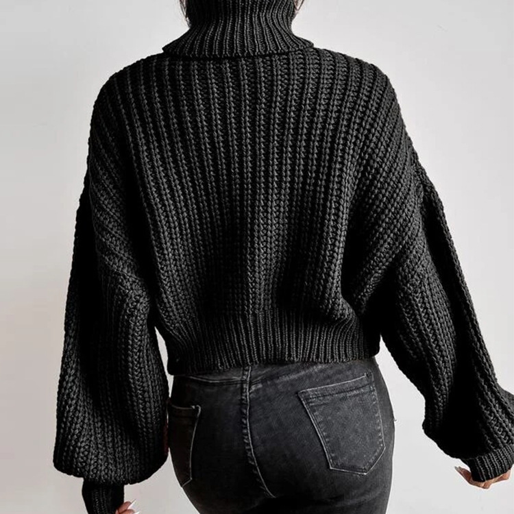 Pull à col roulé en tricot ample à manches longues pour femme, nouvelle mode automne et hiver, commerce extérieur transfrontalier_voghion.com
