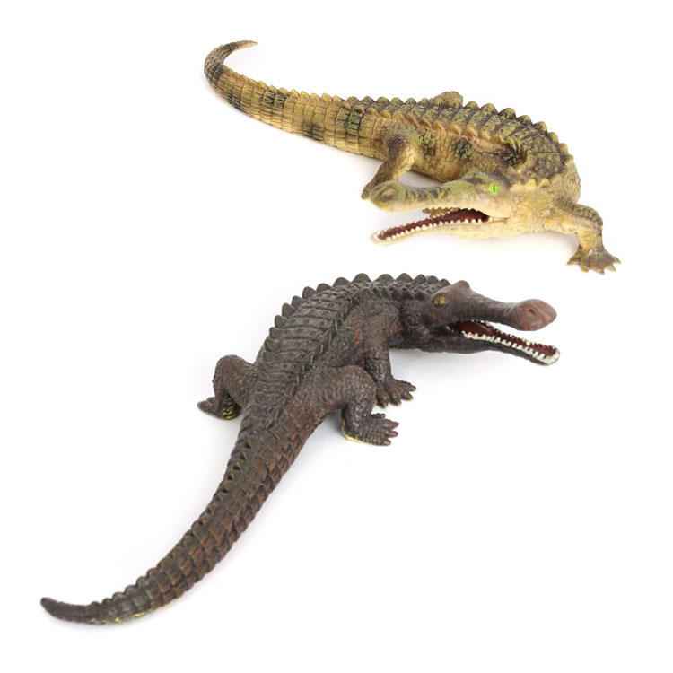 Children's simulation model amphibious crocodile toy Nile crocodile wild boar crocodile wild animal model