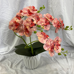 2 Fork with Leaf Phalaenopsis Simulation Bouquet Wedding Decoration Home Interior Decoration Office Decoration Wholesale
