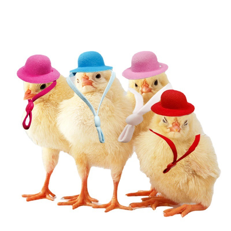New cockscomb headdress pet hat chicken hat chicken supplies for Small Animals funny hat accessories